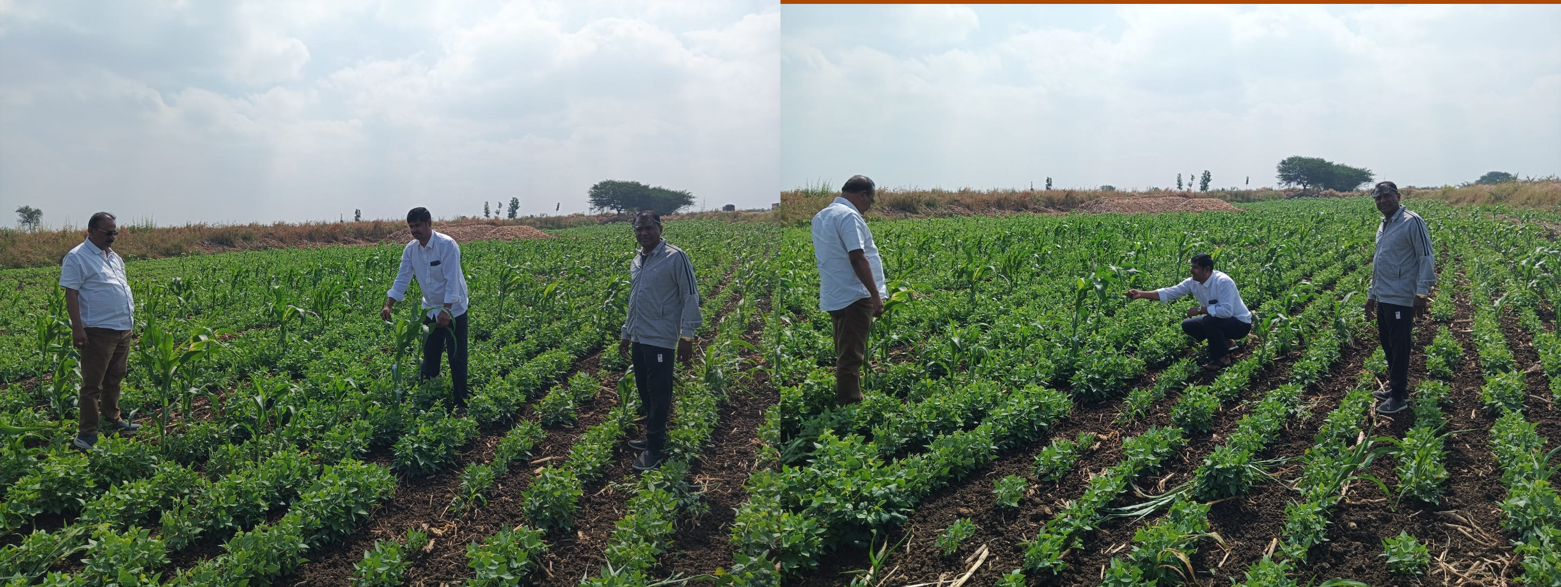 Bootstrap Touch Slider