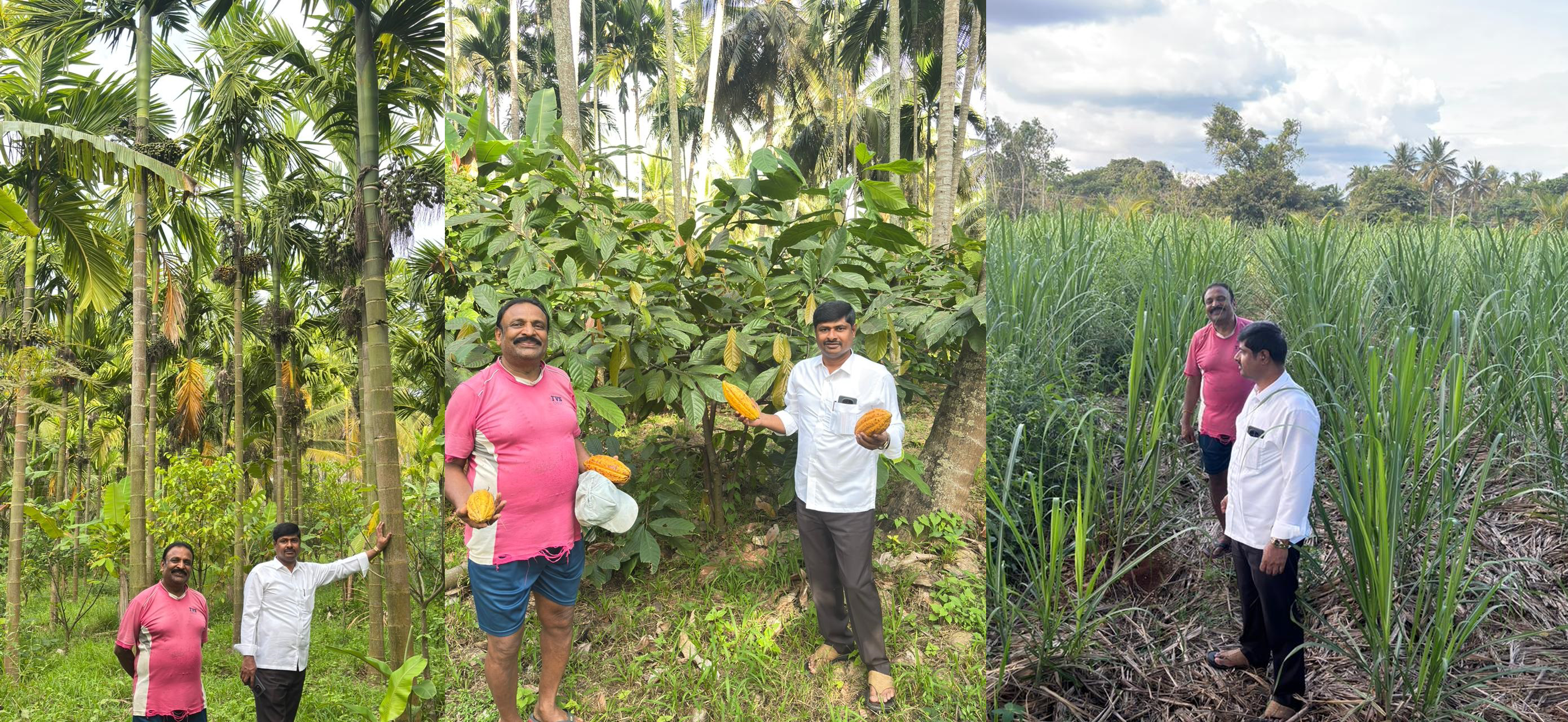 Bootstrap Touch Slider